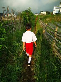 Rear view of man standing on field