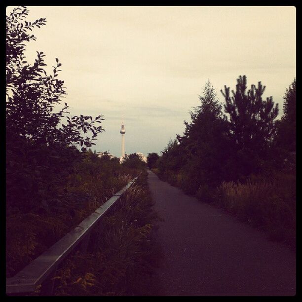 the way forward, transfer print, diminishing perspective, vanishing point, auto post production filter, tree, road, sky, transportation, tranquility, country road, tranquil scene, empty road, empty, long, nature, landscape, road marking, outdoors, no people