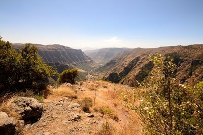 Scenic view of landscape against sky