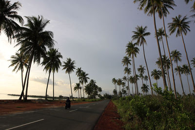 View of road against clear sky