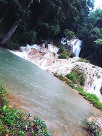 Scenic view of waterfall in forest