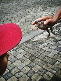 Cropped image of person sitting outdoors