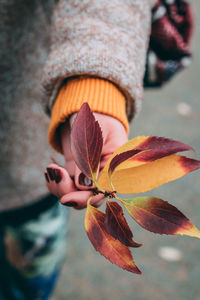 Close-up of hand holding autumn leaf