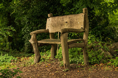 Old wooden bench on field in forest