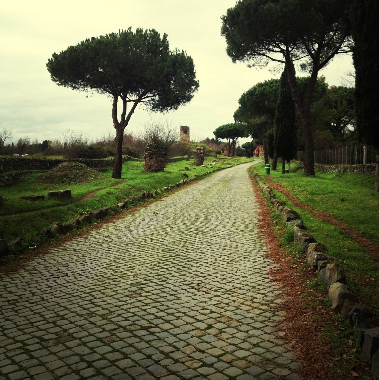 the way forward, tree, footpath, cobblestone, sky, diminishing perspective, grass, walkway, pathway, growth, vanishing point, building exterior, tranquility, built structure, empty, tranquil scene, nature, plant, road, architecture