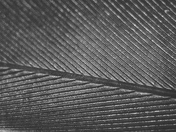 Full frame shot of tiled floor