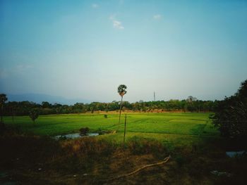 Scenic view of field against sky