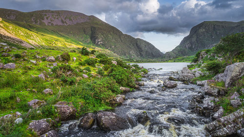 Mountain river flowing from black lake, gap of dunloe. green hills at sunset in black valley ireland