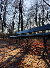 Bench in park during autumn