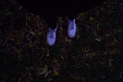 Low section of person standing on field