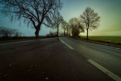 Empty road amidst bare trees against sky