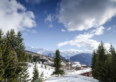 Pine trees on snowcapped mountains against sky