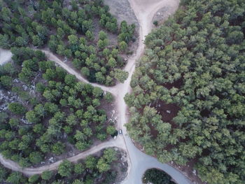 High angle view of waterfall in forest