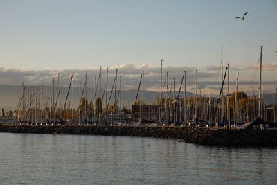 Sailboats in sea against sky