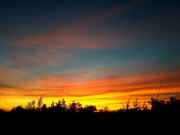 Silhouette trees against sky during sunset