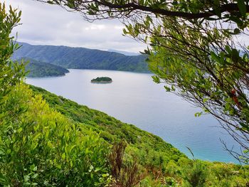 High angle view of lake and trees against sky