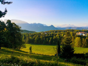 Summer view to latemar in the dolomites seen from renon - ritten 