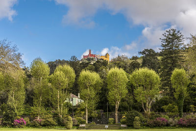 Plants and trees by building against sky