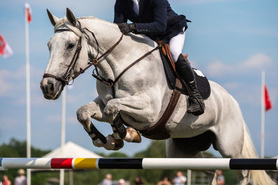 Horse jumping, equestrian sports, show jumping competition themed photograph.