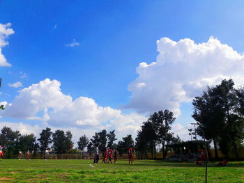 Trees on field against sky