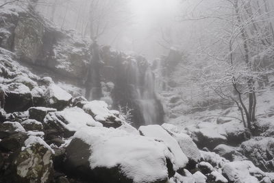 Scenic view of waterfall in forest