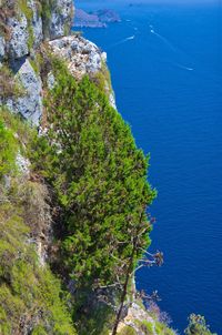 High angle view of rocks by sea