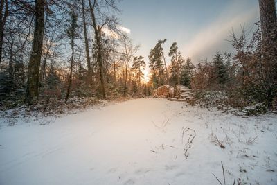 Snow covered landscape against sky