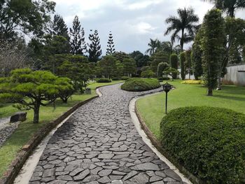 Footpath amidst trees against sky