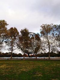 Trees on field against sky