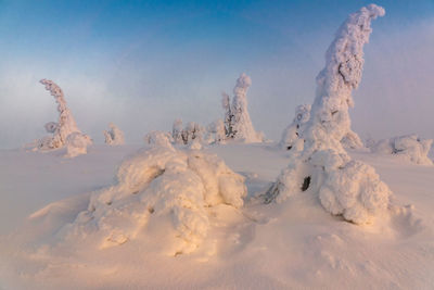 Panoramic view of snow covered land