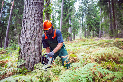 Man working in forest