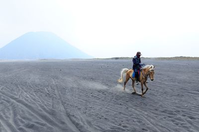 Man riding horse