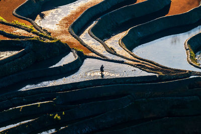 High angle view of people working in the terrace field.