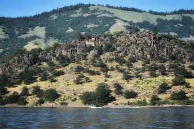 Scenic view of trees by lake against sky