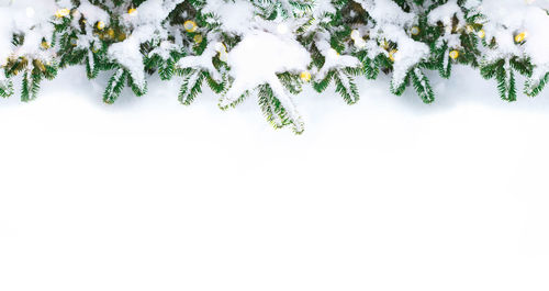 High angle view of christmas decorations on snow