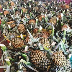 High angle view of pineapples for sale in market