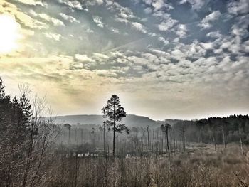 Scenic view of landscape against sky