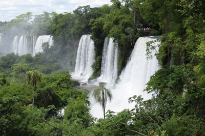 Scenic view of waterfall in forest