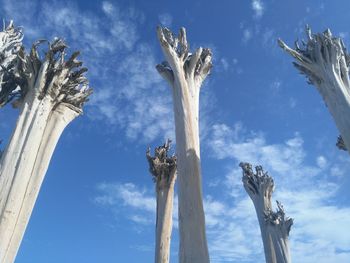 Low angle view of tree against blue sky