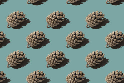 Pattern pine cone