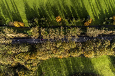 Aerial view of road amidst trees