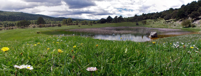 Scenic view of a lake