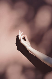 Close-up of hand holding leaf against wall