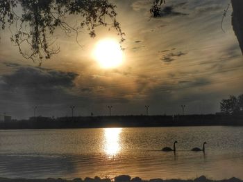 Silhouette birds flying over lake against sky during sunset