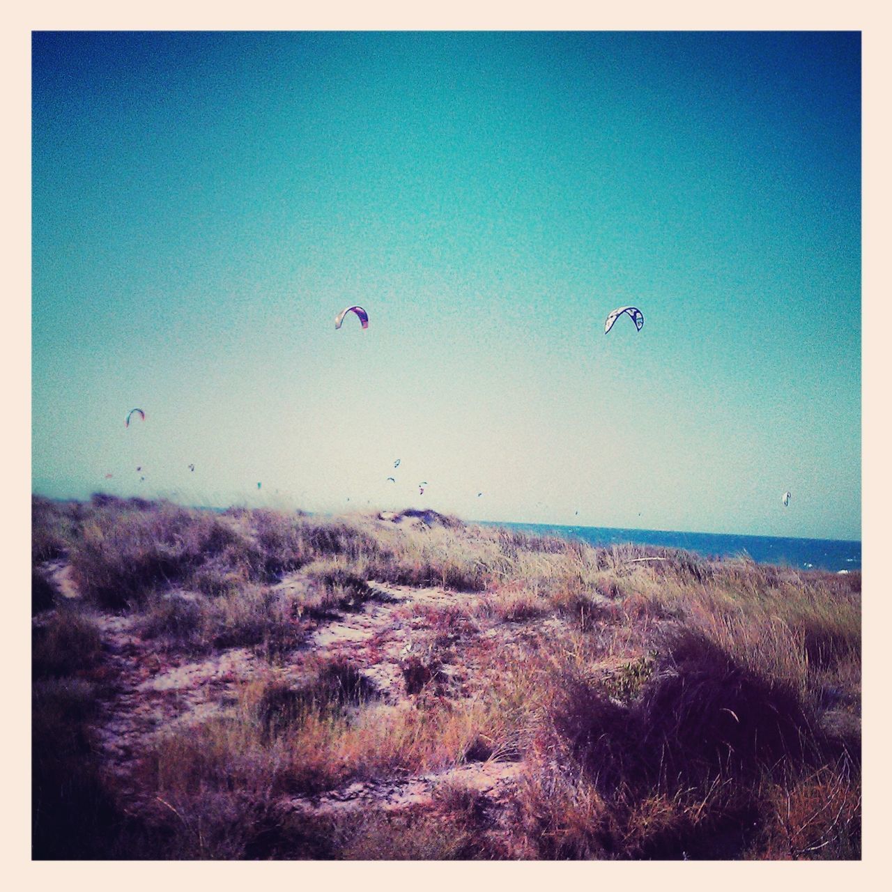 flying, mid-air, sea, blue, scenics, transfer print, clear sky, tranquility, parachute, horizon over water, tranquil scene, beauty in nature, auto post production filter, paragliding, nature, sky, copy space, landscape, beach, water