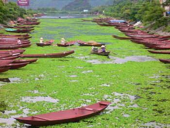 High angle view of agricultural field