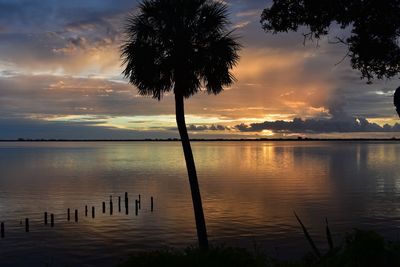 Silhouette palm tree by lake against sky during sunset