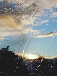 Close-up of wet tree against sky