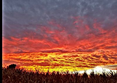 Scenic view of dramatic sky at sunset