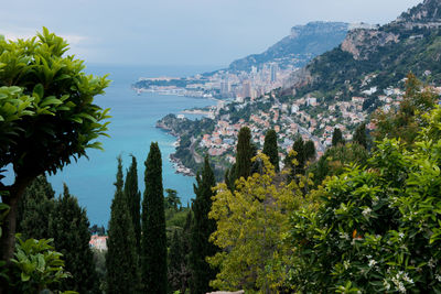 Panoramic view of trees and plants against sky